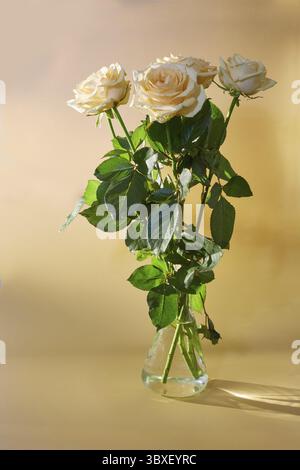 Bouquet de 5 roses jaunes dans un vase en verre sur fond jaune Banque D'Images