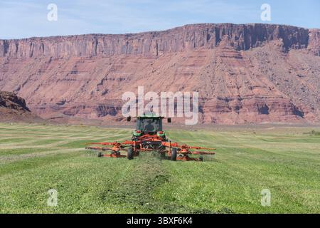 4 octobre 2021, Moab, Utah, États-Unis : un éleveur utilise un râteau rotatif derrière un tracteur sur un ranch pittoresque dans le pays des canyons de roche rouge de l'Utah. (Crédit image : © Jon G. Fuller/VW pics via ZUMA Press Wire) Banque D'Images