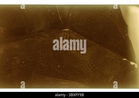 Film négatif couleur grungy 120mm isolé sur fond blanc. Matériau de film de format moyen sur fond blanc, espace réservé photo rétro. Banque D'Images