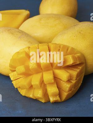 Quatre fruits de mangue entiers sur la table bleu foncé et coupés en tranches. Grands fruits jaunes mûrs brillants juteux sur fond de couleur, gros plan Banque D'Images