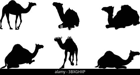 Silhouettes plates de chameau Illustration de Vecteur