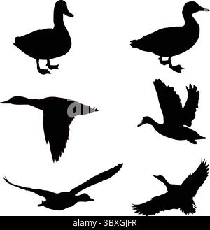 Silhouettes de canard plates Illustration de Vecteur
