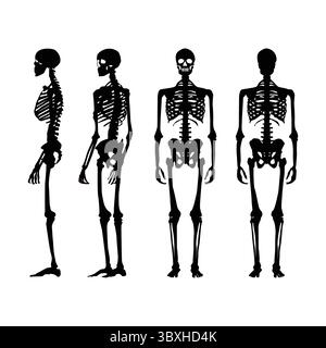 Squelette humain silhouette noire illustration sur fond blanc vol 01 Illustration de Vecteur