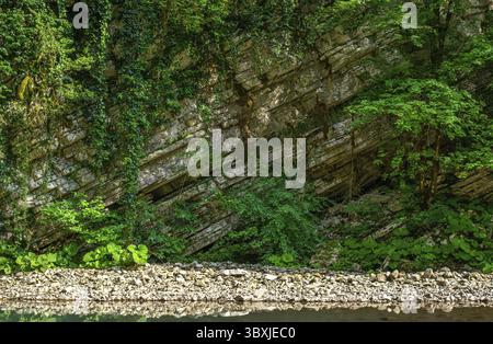 La nature du parc national de Sotchi des buis. Mur de falaises karstiques blanches. Montagne d'émeraude dans le Caucase Banque D'Images