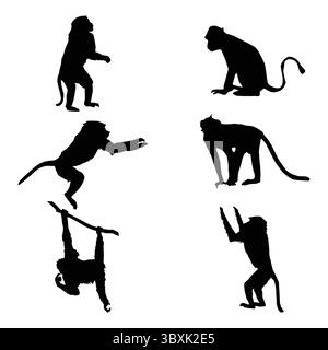 Formes de singe avec illustration de fond blanc Illustration de Vecteur