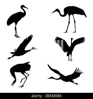 Red- grue couronnée Bird Flight grue sibérienne grue blanche formes illustration vectorielle Illustration de Vecteur