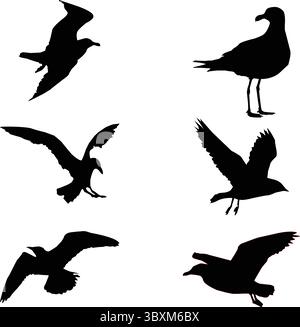 Silhouettes de dessin d'oiseau Segal Illustration de Vecteur