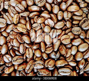 Grains de café rôtis en arrière-plan, vue du dessus Banque D'Images