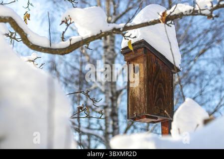 Nichoir en bois en hiver, nichoir couvert de neige pour les étourneaux Banque D'Images