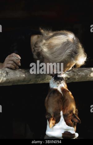 Portrait de femme âgée embrassant American Staffordshire Terrier Terrier chien gros plan sur fond naturel. Lumière du coucher du soleil sur le visage de l'aîné. Banque D'Images