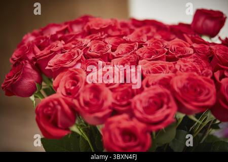 Bouquet de luxe de roses rouges fraîches. Gros plan Banque D'Images