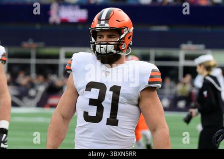 14 novembre 2021 : Andy Janovich (31) avant le match de football NFL entre les Browns de Cleveland et les Patriots de la Nouvelle-Angleterre au Gillette Stadium, à Foxborough, Massachusetts. Les Patriotes battent les Browns 45-7. Eric Canha/CSM(image de crédit : &copy ; Eric Canha/CSM via ZUMA Wire) Banque D'Images