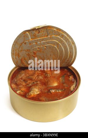 Les conserves de poisson en sauce tomate sur fond blanc Banque D'Images