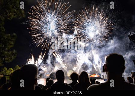 26 novembre 2021, Orlando, Floride, États-Unis : feux d'artifice pendant la célébration harmonieuse à Epcot dans Walt Disney World à Orlando, Floride. (Crédit image : © Joseph Prezioso/ZUMA Press Wire) Banque D'Images