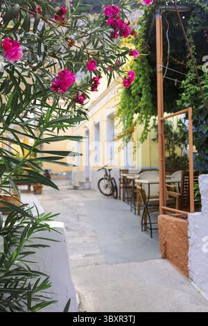 Village de pêcheurs coloré de Symi avec des maisons et des portes colorées, des pots de fleurs sur l'île de Symi en Grèce. Banque D'Images