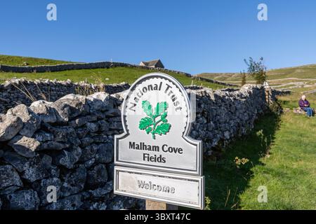 Malham Cove Fields Banque D'Images