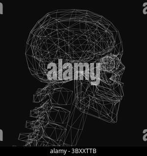 Crâne humain filaire avec des détails anatomiques complexes, mettant en valeur un modèle numérique 3D dans des tons monochromes. La structure maillée transparente est mise en évidence Illustration de Vecteur