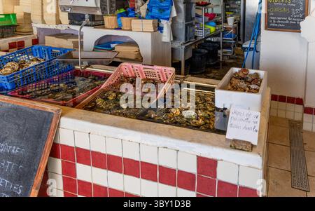 Huîtres fraîches à vendre à un comptoir dans un marché de fruits de mer à Leucate, France. Banque D'Images