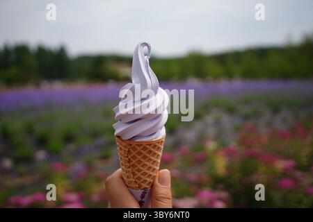 Main tenant le cône de crème glacée avec des fleurs de lavande en été Banque D'Images