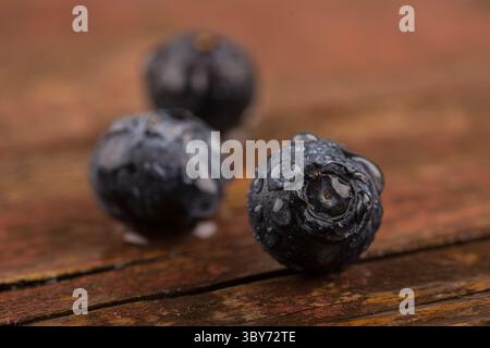 Bleuets frais avec des gouttes d'eau Banque D'Images