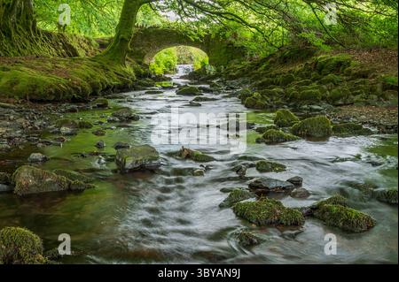 Weir eau coulant sous Robbers Bridge près d'Oareford dans le parc national d'Exmoor, Somerset, Angleterre, Royaume-Uni, un jour de début d'été. Banque D'Images