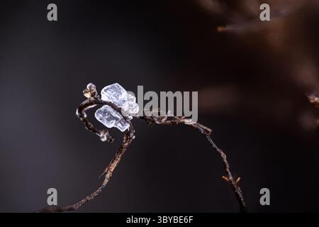 Cristal blanc non identifié sur la localité de scories de fil de cuivre. Spécimen de scories de Chessy, Chessy-les-mines, France. Micro photographie extrême Banque D'Images