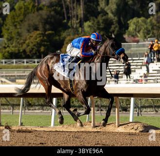 5 mars 2022, Arcardia, Californie, États-Unis : 5 mars, 2022 : as Times Goes by #3 monté par le jockey Flavien Prat remporte le Beholder Mile (Grade 1) le Big Cap Day au Santa Anita Park à Arcadia, Californie, le 5 mars 2022. Casey Phillips/Eclipse Sportswire/CSM(crédit image : © Casey Phillips/Eclipse Sportswir/CSM via ZUMA Press Wire) Banque D'Images