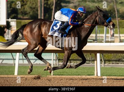 5 mars 2022, Arcardia, Californie, États-Unis : 5 mars, 2022 : as Times Goes by #3 monté par le jockey Flavien Prat remporte le Beholder Mile (Grade 1) le Big Cap Day au Santa Anita Park à Arcadia, Californie, le 5 mars 2022. Casey Phillips/Eclipse Sportswire/CSM(crédit image : © Casey Phillips/Eclipse Sportswir/CSM via ZUMA Press Wire) Banque D'Images