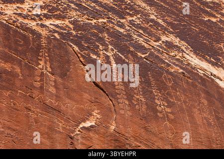 1er avril 2009, Bears Ears National Monument, Utah, États-Unis : élabore d'anciens pétroglyphes amérindiens de la culture Basketmaker d'il y a environ 2000 ans gravés dans le vernis noir du désert d'une falaise dans le Bears Ears National Monument dans l'Utah. Les plantes ne sont que rarement représentées dans leur art rupestre, mais on pense que ces pétroglyphes représentent la plante de yucca, qui était utilisée pour fabriquer du savon, de la corde, des sandales, des médicaments et de la nourriture. (Crédit image : © Jon G. Fuller/VW pics via ZUMA Press Wire) Banque D'Images
