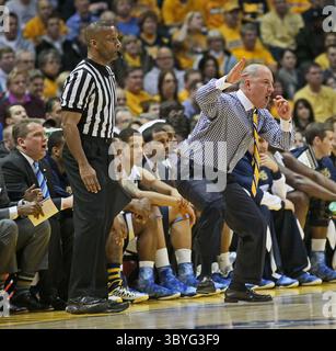 16 février 2013 - Milwaukee, WI, États-Unis - Buzz Williams, entraîneur de Marquette, s'excite sur la ligne de touche contre Pittsburgh au BMO Harris Bradley Center à Milwaukee, Wisconsin, le samedi 16 février 2013. Marquette a surmonté Pitt, 79-69. (Crédit image : © Michael Sears/Milwaukee Journal Sentinel via ZUMA Press Wire) Banque D'Images