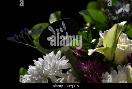 8 novembre 2023, South Portland, Maine, USA : un arrangement floral comprend la langue des signes pour 'je t'aime' aux funérailles de Joshua Seal, 36 un interprète ASL tué par un tireur de masse Lewiston au Schemengees Bar, à la pointe de South Portland. Le bar organisait un tournoi Cornhole pour les membres de la communauté sourde lorsque le tireur est entré, tuant 18 personnes. Il laisse derrière lui sa femme Elizabeth Seal et ses quatre enfants. (Crédit image : © Carol Guzy/ZUMA Press Wire) Banque D'Images