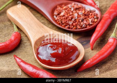 Cuillères en bois de flocons de piment séchés et de pâte de poivre Banque D'Images