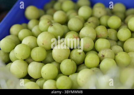 La groseille indienne est empilée dans un panier bleu. Groseille indienne de taille mixte à vendre sur le marché. Banque D'Images