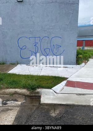 Les identifiants ETGC W7M comprennent les graffitis « ETGC », les bandanas bleus, les signes de main Crip et les tatouages marqués avec « SCRG », « ETG » et « W7M ». Banque D'Images