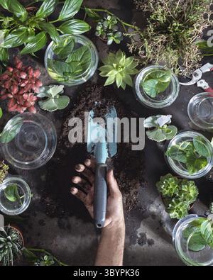 Jardinier tenant une pelle, truelle avec des plantes autour Banque D'Images