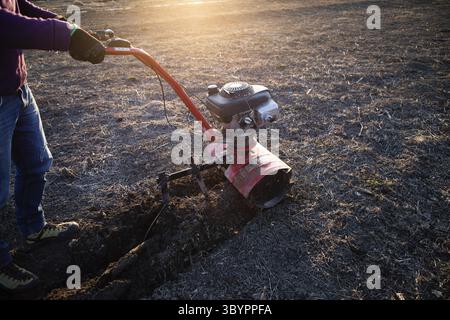 L'homme cultive le sol dans le jardin avec un cultivateur préparant le sol pour l'ensemencement Banque D'Images