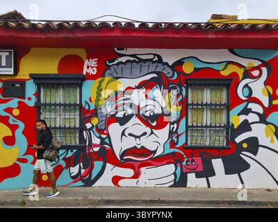 Colombie, Cali, 26 juillet 2024, façade d'une maison décorée d'une murale Banque D'Images