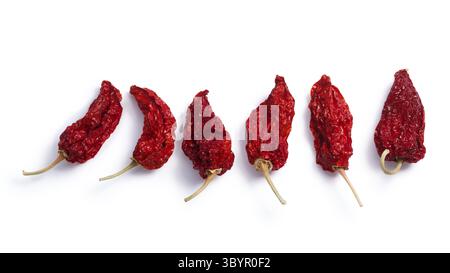 Les Bhut Jolokia Chili Peppers Ghost, gousses entières. Chemins de détourage, les ombres séparées, vue du dessus Banque D'Images