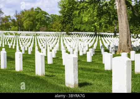 ARLINGTON, États-Unis - 2 MAI 2015 : pierres tombales blanches sur la pelouse verte du cimetière national d'Arlington, Arlington, États-Unis Banque D'Images