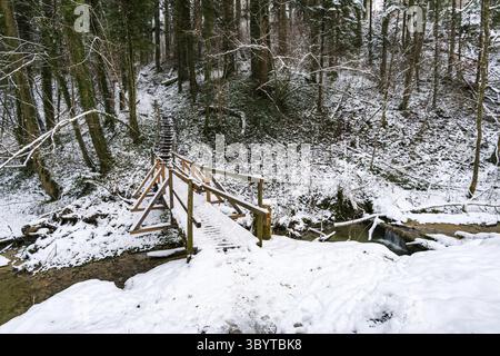 Faites une randonnée dans le ravin couvert de neige à Schmaleg près de Ravensburg Souabe supérieur Banque D'Images