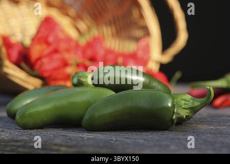 Jalapeno et Cayenne Peppers sur le marché rural local Banque D'Images