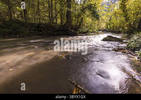 Fantastique randonnée d'automne le long de l'Aachtobel jusqu'à l'observation Hohenbodman tour près du lac de Constance Banque D'Images