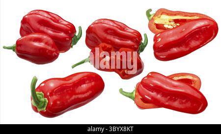 Zavory piment Habanero (Capsicum chinense) fruits, gousses mûres Banque D'Images