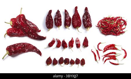 piments séchés : cire chaude, Anaheim, Habanero, Bhut Jolokia, de Arbol. Masques, ombres séparées, vue de dessus Banque D'Images