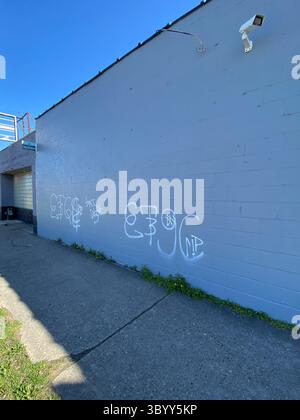 W7M ScoreGang Crips, un sous-ensemble de Crips basé à Detroit, prononcé “West Seven Mile Sko-Gang Krips” ou “Dub Seven M Sko-Gang Krips” Banque D'Images