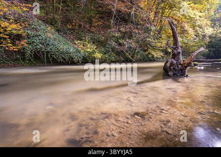Fantastique randonnée d'automne le long de l'Aachtobel jusqu'à l'observation Hohenbodman tour près du lac de Constance Banque D'Images