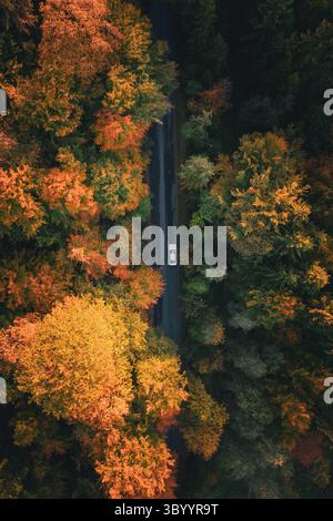 12 octobre 2019, Autriche : Autriche, Salzbourg. 12 octobre 2019. Surplombant une route traversant une forêt colorée près de Salzbourg., Credit :Christoph Obersch / Gonzales photo / ZUMA Press (Credit image : © Christoph Obersch / Gonzales/Gonzales photo via ZUMA Press) Banque D'Images