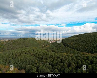 Cette photographie aérienne haute résolution capture un panorama panoramique de la forêt du Palatinat recouverte d'arbres à la vaste plaine du Rhin baignée de gol Banque D'Images