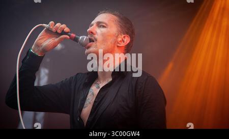 17 août 2019, Trondheim, Norvège : Trondheim, Norvège. 17 août 2019. Le groupe de punk rock norvégien The Dogs donne un concert lors du festival de musique norvégien Pstereo 2019 à Trondheim. Ici, la chanteuse Kristopher Schau est vue en direct sur scène. (Crédit photo : Gonzales photo - Tor Atle Kleven) (crédit image : © Tor Atle Kleven/Gonzales photo via ZUMA Press) Banque D'Images