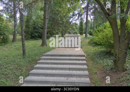 Chemin d'escalier en pierre menant à travers un parc luxuriant de Green Forest lors d'une journée d'été paisible. Banque D'Images